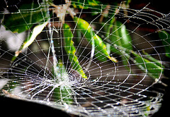 C'era una volta il Web