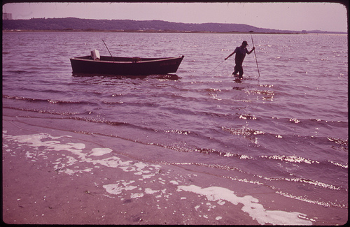Di Pietro al mare fra vongole e paguri